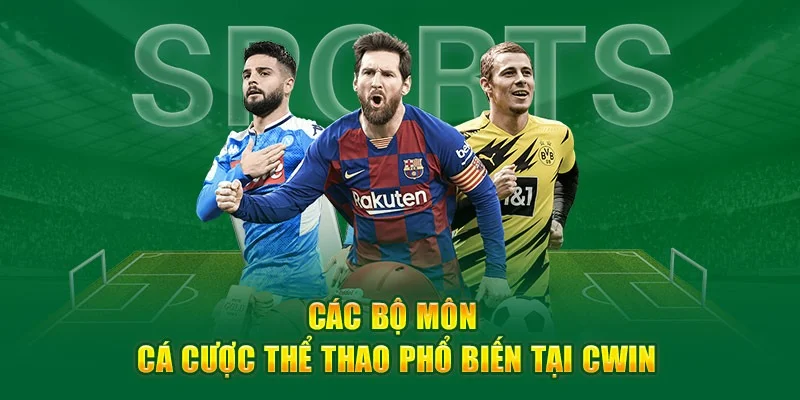 Đối tác hợp tác Cwin làm việc tự do, thu nhập ổn định