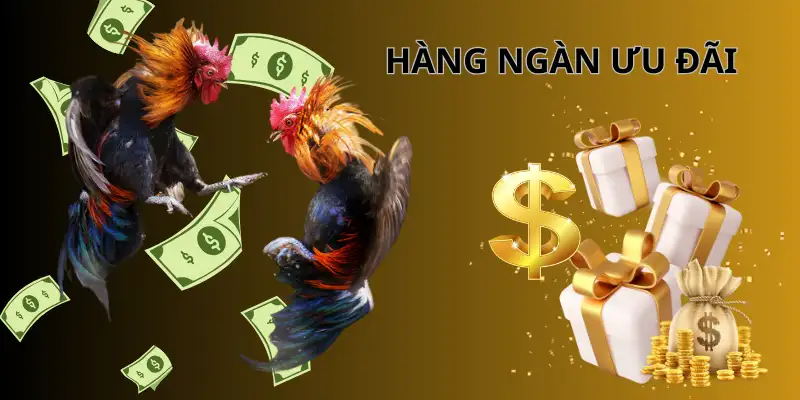 Đá gà WS168: Thưởng nạp, hoàn tiền, quà tặng hấp dẫn